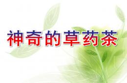 大班科學活動神奇的草藥茶PPT課件