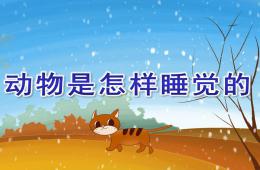 大班科學動物是怎樣睡覺的PPT課件