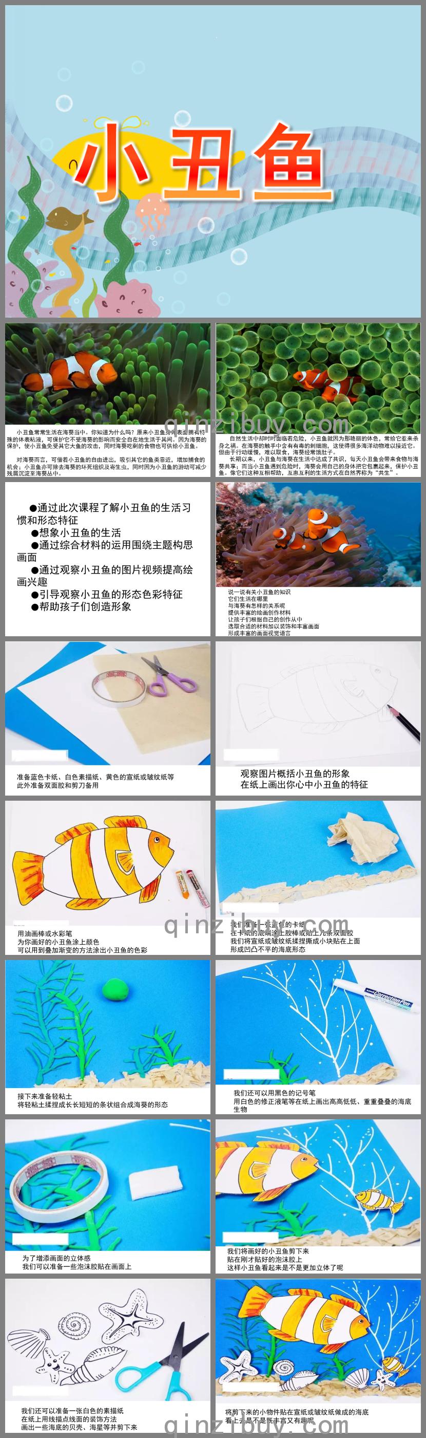 大班社會小丑魚PPT課件