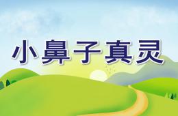 中班安全小鼻子真靈PPT課件