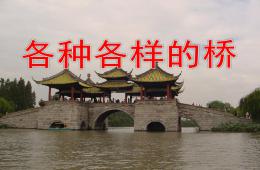 中班各種各樣的橋PPT課件