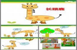 中班美術長頸鹿PPT課件