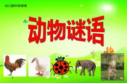 中班語言動物謎語PPT課件配音音效
