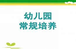 幼兒園班級常規(guī)管理PPT課件