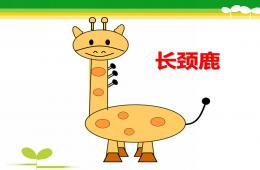 中班美術(shù)長(zhǎng)頸鹿PPT課件