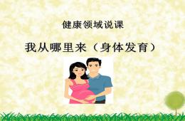 大班健康說課我從哪里來PPT課件