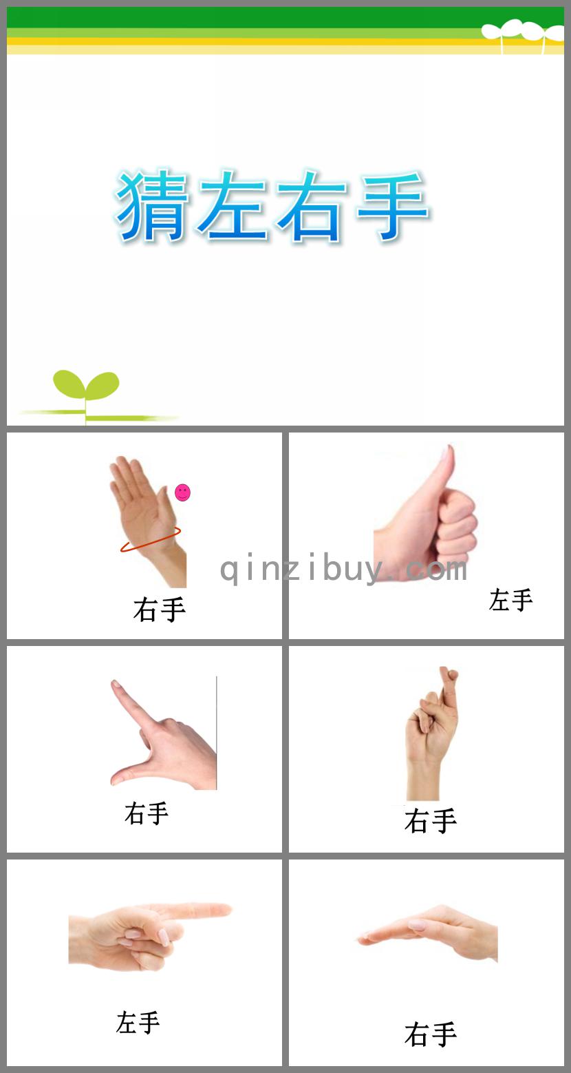 大班綜合猜左右手PPT課件