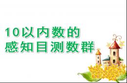 大班數(shù)學(xué)10以內(nèi)數(shù)的感知目測(cè)數(shù)群PPT課件