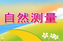 大班數學活動自然測量PPT課件