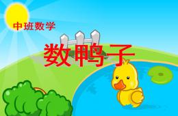 中班數(shù)學(xué)數(shù)鴨子PPT課件音樂