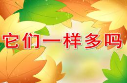 中班數學活動它們一樣多嗎PPT課件