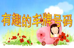 大班有趣的車牌號碼PPT課件