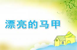 大班數(shù)學(xué)活動漂亮的馬甲PPT課件