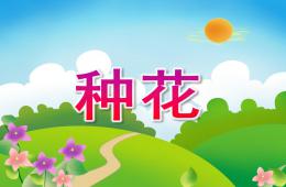 小班數學種花PPT課件