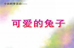 小班科學(xué)活動可愛的兔子PPT課件