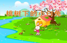 大班語言桃樹下的小白兔PPT課件音樂