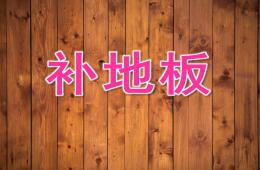 大班數學補地板PPT課件