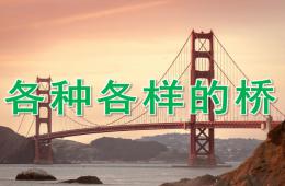 大班科學(xué)各種各樣的橋PPT課件