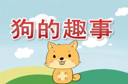 大班主題狗的趣事PPT課件
