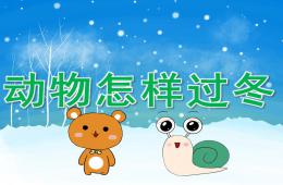 大班科學(xué)動物怎樣過冬PPT課件