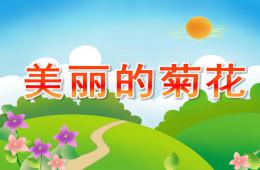 小班科學美麗的菊花PPT課件