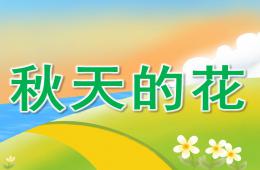 中班科學秋天的花PPT課件