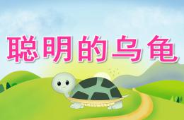 大班語言聰明的烏龜PPT課件