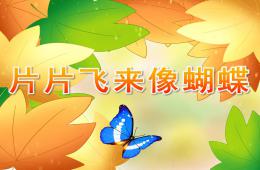 小班語言片片飛來像蝴蝶PPT課件