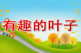 中班科學有趣的葉子PPT課件