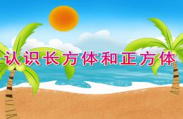 大班科學(xué)認(rèn)識長方體和正方體PPT課件