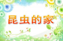 中班科學活動昆蟲的家PPT課件