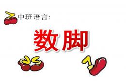中班語言公開課數腳PPT課件