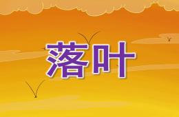 大班語言活動落葉PPT課件