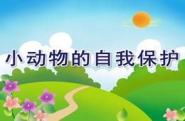 大班科學小動物的自我保護PPT課件