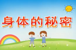 大班健康身體的秘密PPT課件