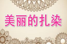 大班藝術美麗的扎染PPT課件