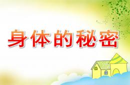大班科學身體的秘密PPT課件