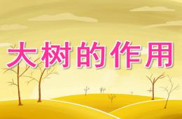 大班社會大樹的作用PPT課件