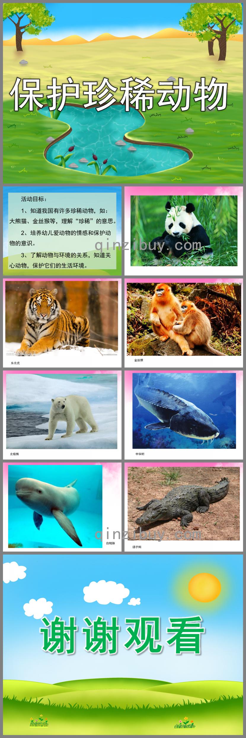 大班科學保護珍稀動物PPT課件