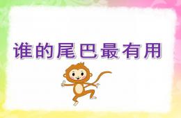 中班科學活動誰的尾巴最有用PPT課件