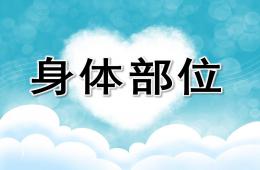大班健康身體部位PPT課件