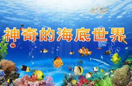 大班科學神奇的海底世界PPT課件