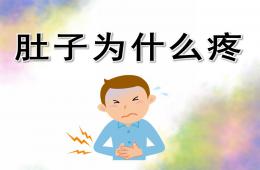 大班健康肚子為什么會疼PPT課件