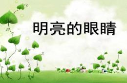 大班健康活動明亮的眼睛PPT課件