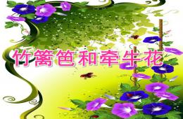 中班語言竹籬笆和牽牛花PPT課件