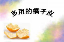 大班科學多用的橘子皮PPT課件