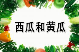 大班語言西瓜和黃瓜PPT課件
