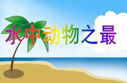 大班科學水中動物之最PPT課件