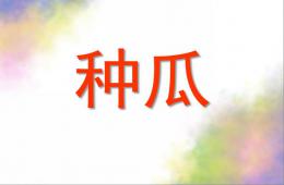 大班語言種瓜PPT課件