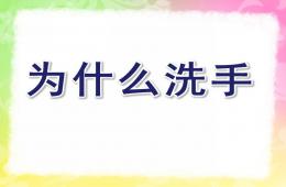 小班健康為什么洗手PPT課件